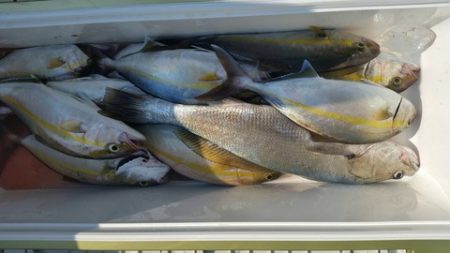 第五慶門丸 釣果