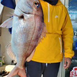 遊漁船 ニライカナイ 釣果