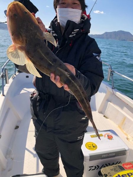 Magic（マジック） 釣果