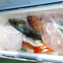 第二むつ漁丸 釣果