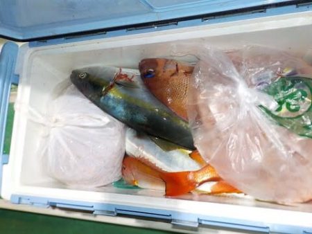 第二むつ漁丸 釣果