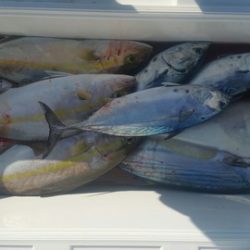 第五慶門丸 釣果