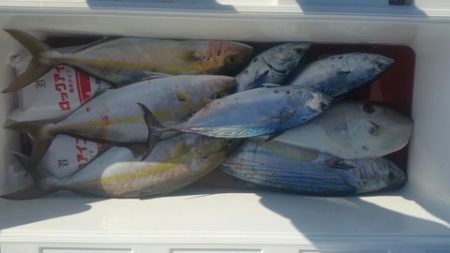 第五慶門丸 釣果