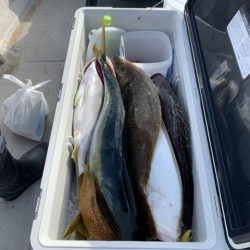 第八大安丸 釣果