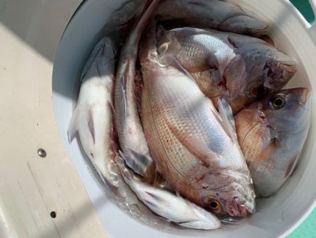 さんさん丸 釣果