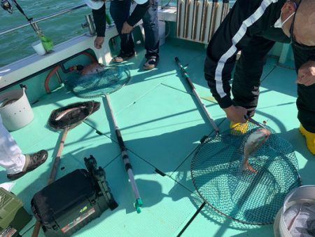 さんさん丸 釣果