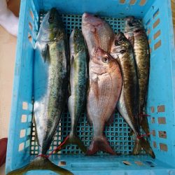 たかみ丸 釣果