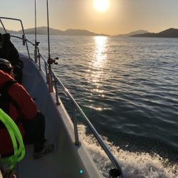 Magic（マジック） 釣果