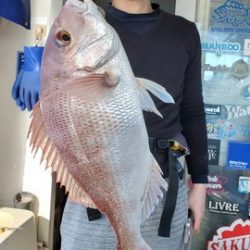 遊漁船 ニライカナイ 釣果