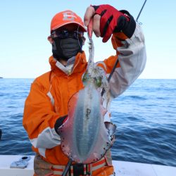 まるいち丸 ZERO-1 釣果