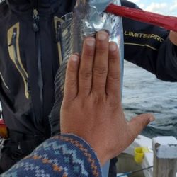 遊漁船 ニライカナイ 釣果