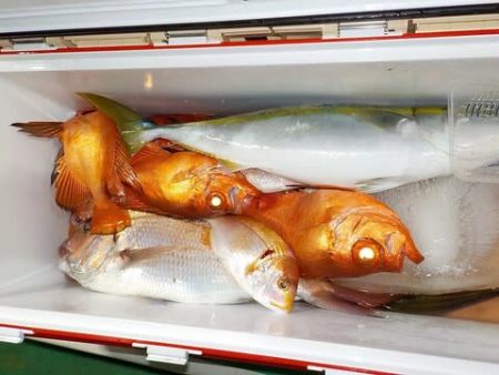 第二むつ漁丸 釣果