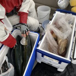 第八大安丸 釣果