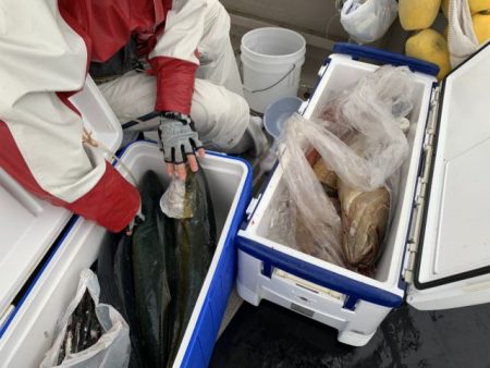 第八大安丸 釣果