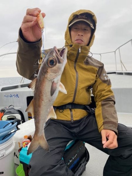 へいみつ丸 釣果