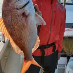 遊漁船 ニライカナイ 釣果