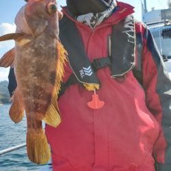 遊漁船　ニライカナイ 釣果