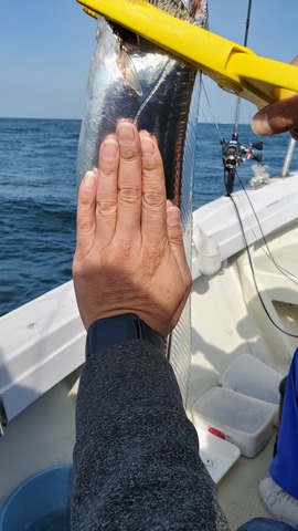 遊漁船 ニライカナイ 釣果