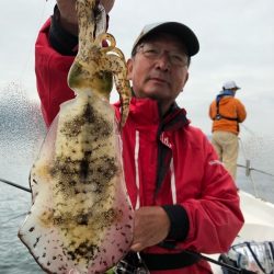 Magic(マジック) 釣果