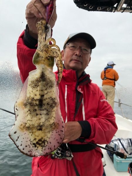 Magic(マジック) 釣果