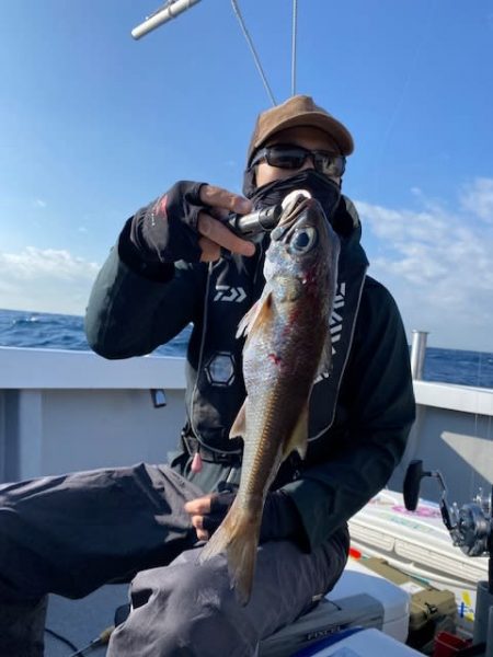 へいみつ丸 釣果