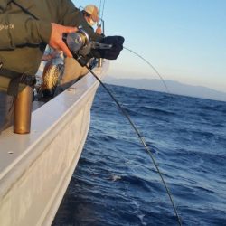 第五慶門丸 釣果