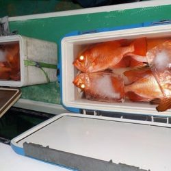 第二むつ漁丸 釣果