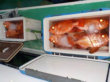 第二むつ漁丸 釣果