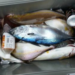 第五慶門丸 釣果