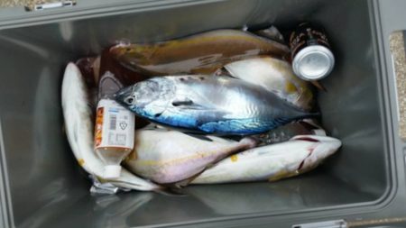 第五慶門丸 釣果