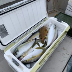 第八大安丸 釣果