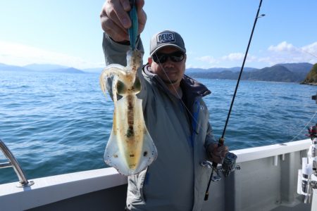 まるいち丸 ZERO-1 釣果