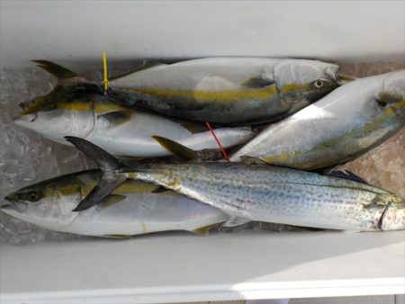 ＨＡＲＵＫＡ丸　はるかまる 釣果