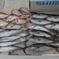 HARUKA丸 はるかまる 釣果