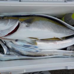 HARUKA丸 はるかまる 釣果