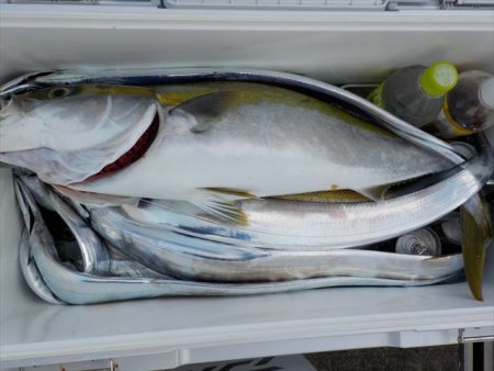 HARUKA丸 はるかまる 釣果