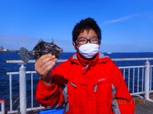 鹿島港魚釣園 釣果