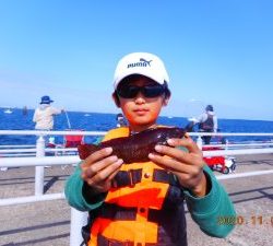 鹿島港魚釣園 釣果