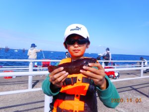 鹿島港魚釣園 釣果