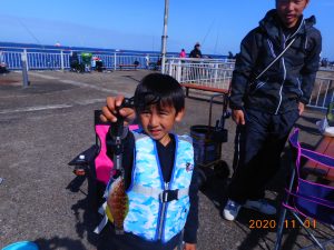 鹿島港魚釣園 釣果