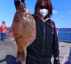 鹿島港魚釣園 釣果