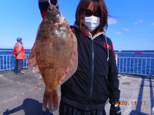 鹿島港魚釣園 釣果