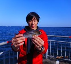 鹿島港魚釣園 釣果