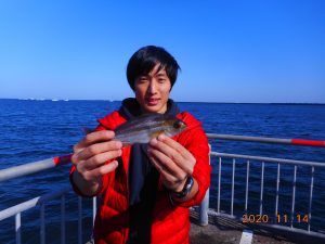 鹿島港魚釣園 釣果
