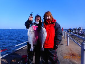 鹿島港魚釣園 釣果