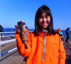 鹿島港魚釣園 釣果