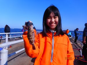 鹿島港魚釣園 釣果