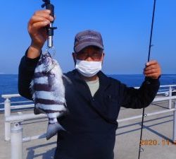 鹿島港魚釣園 釣果