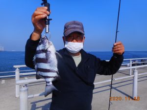 鹿島港魚釣園 釣果