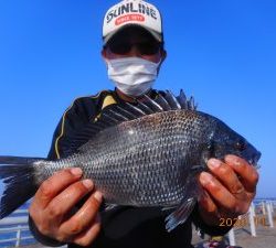 鹿島港魚釣園 釣果